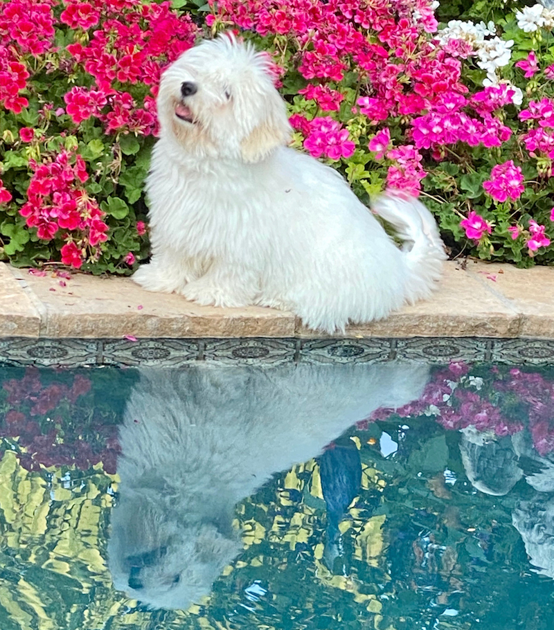 Karsten by the pool