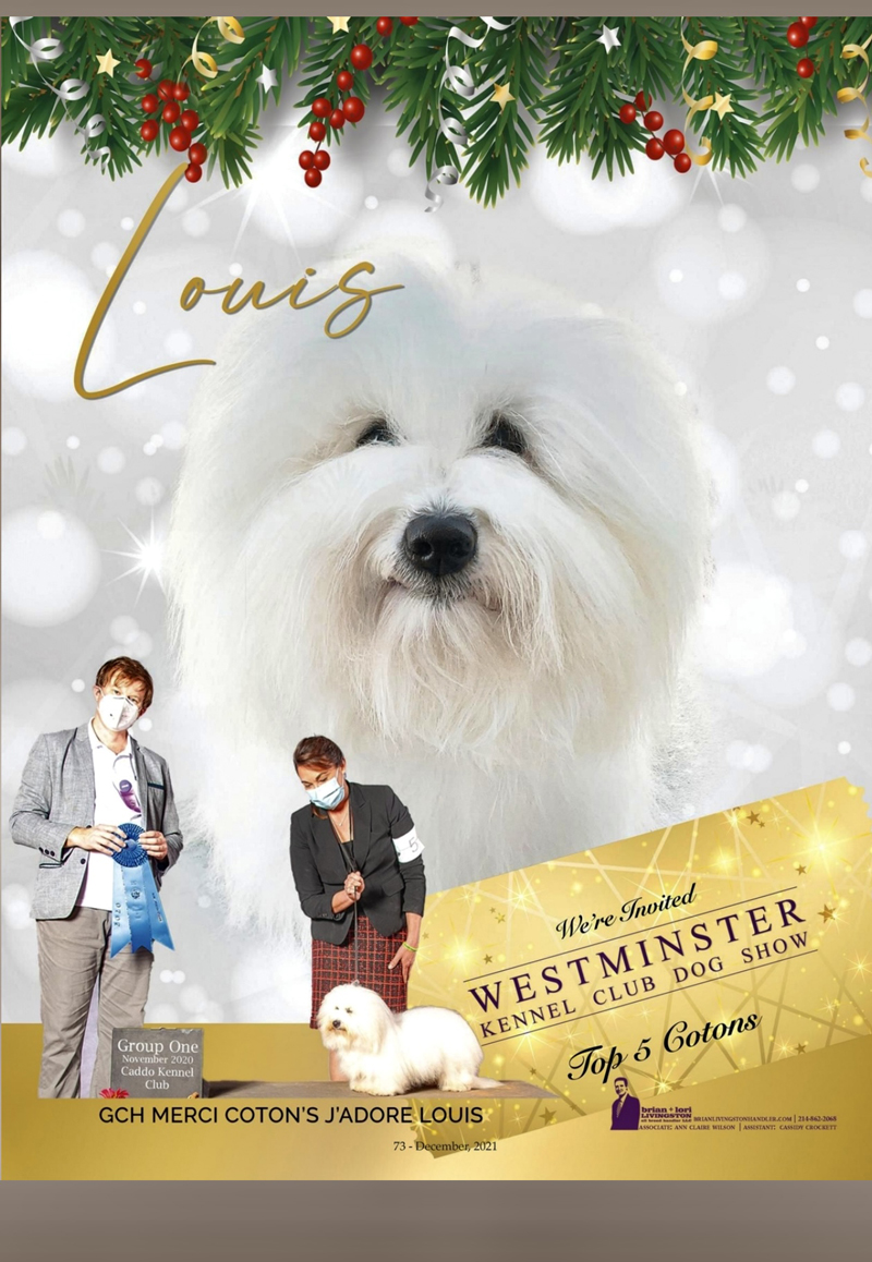 Louis has a special invite to Westminster - shown by Lori Livingston